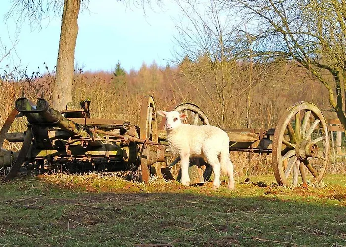 Historische Romantische Muehle Holiday home